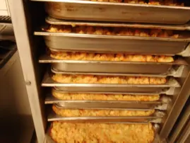 {{brizy_dc_image_alt imageSrc=